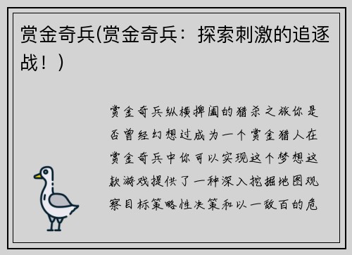 赏金奇兵(赏金奇兵：探索刺激的追逐战！)